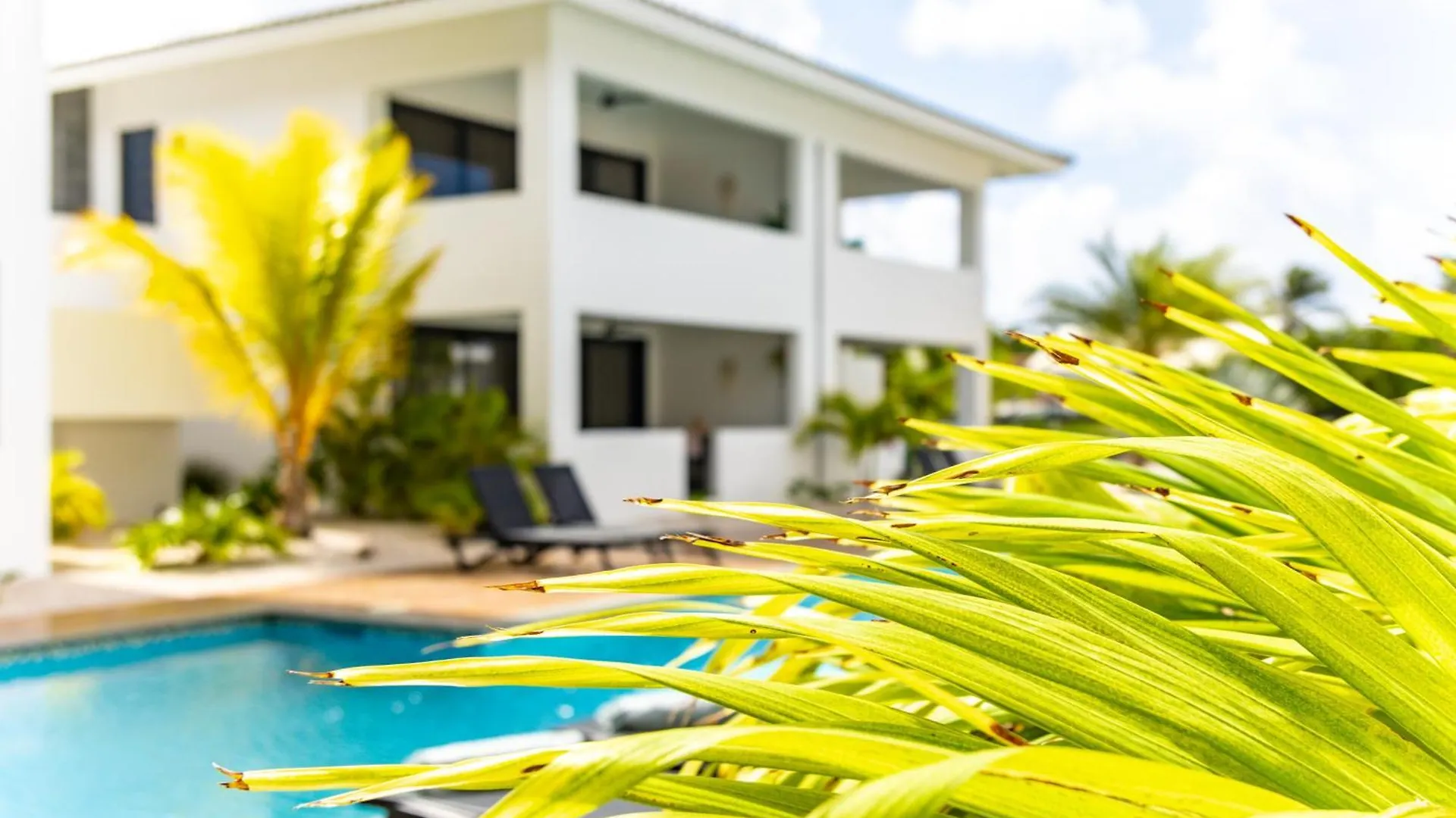 The Sunset - Luxurious Penthouse Near Jan Thiel Beach Curacao